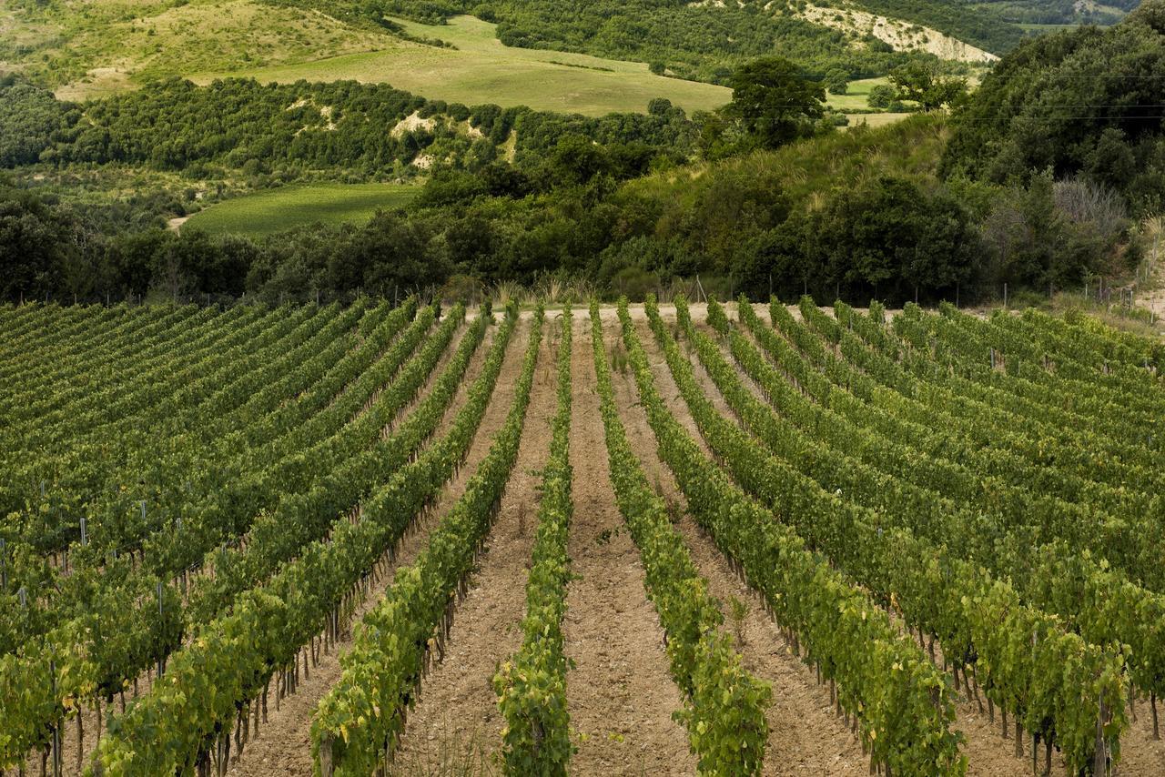 Castello Di Velona Resort, Thermal Spa & Winery Montalcino Extérieur photo